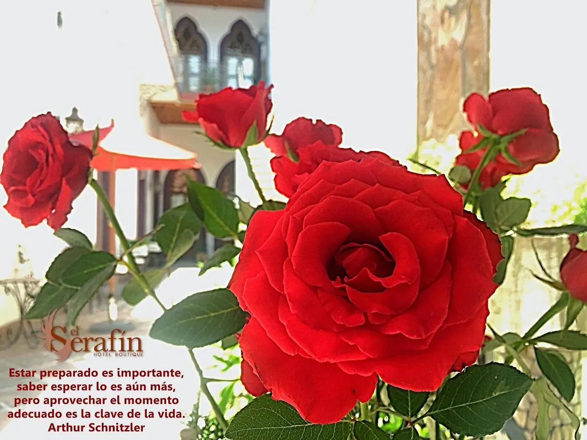 El Serafin Hotel Boutique Querétaro México